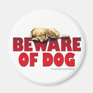 Imã Beware do cão…