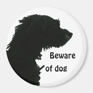 Imã Beware do cão