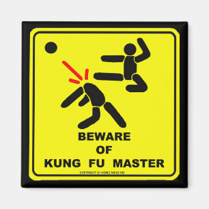 IMÃ BEWARE DO MESTRE DE KUNG FU