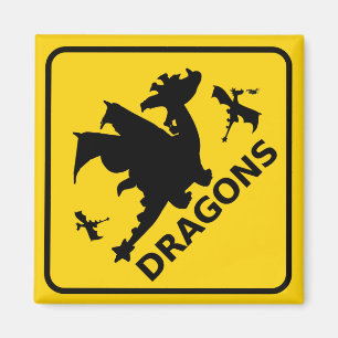 Imã Beware do sinal de aviso dos dragões