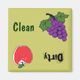 Imã BH- Uvas e Maquete de Maçã