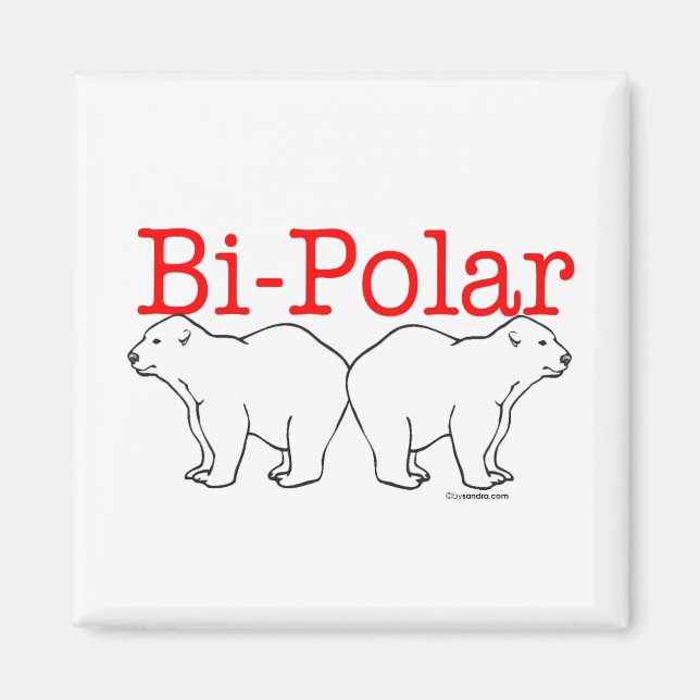 Imã Bi-Polar (Frente)