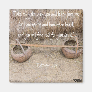 Imã Bíblia Verse Magnet - Matthew