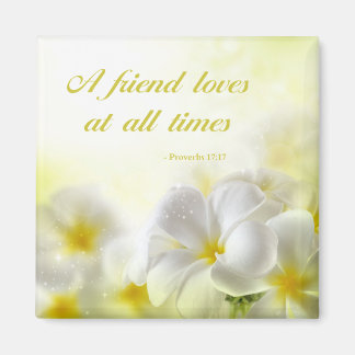 Imã Bíblia Verso | Provérbios 17:17 |