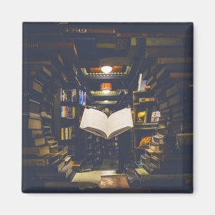 Imã Biblioteca Livros Prateleiras Abrir Livro Lido