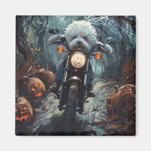 Imã Bichon Frise Andando Motocicleta Assusta