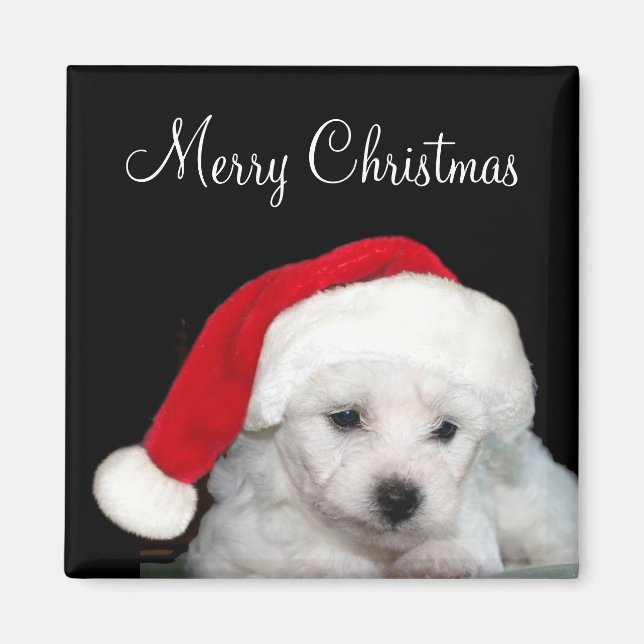 Imã Bichon Frise Christmas (Frente)