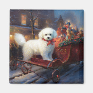 Imã Bichon Frise Natal Fesason