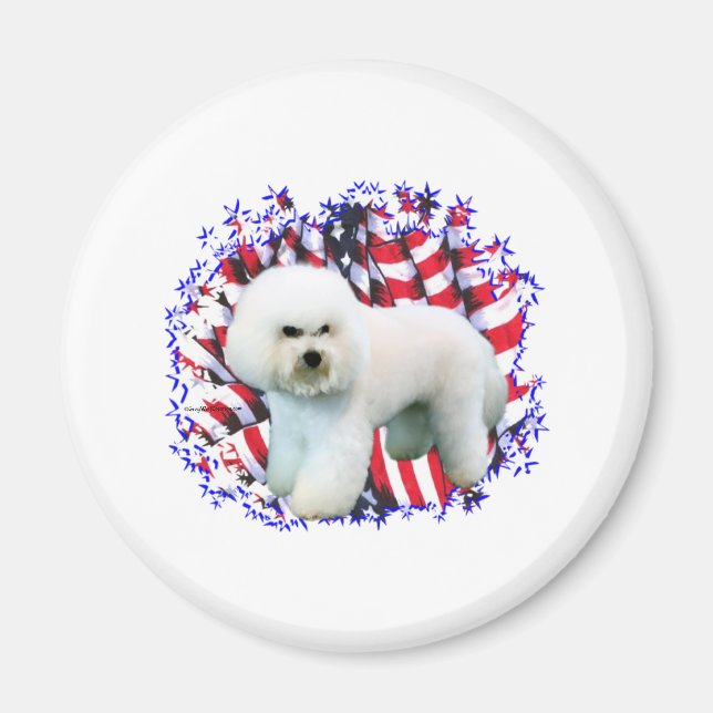 Imã Bichon Frise Patriot (Frente)