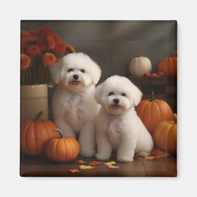 Imã Bichon Frise Puppy Autumn Delight Pumpkin (Frente)