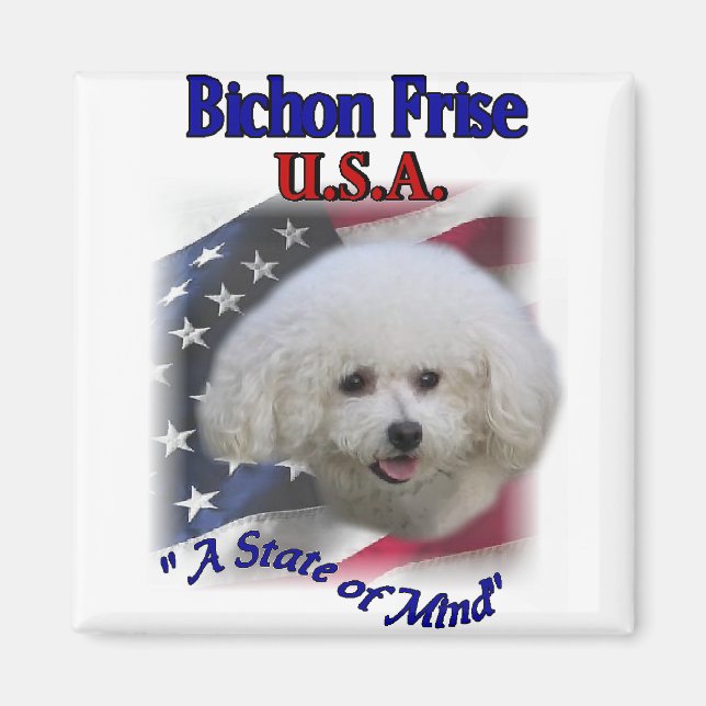 Imã Bichon Furgts (Frente)