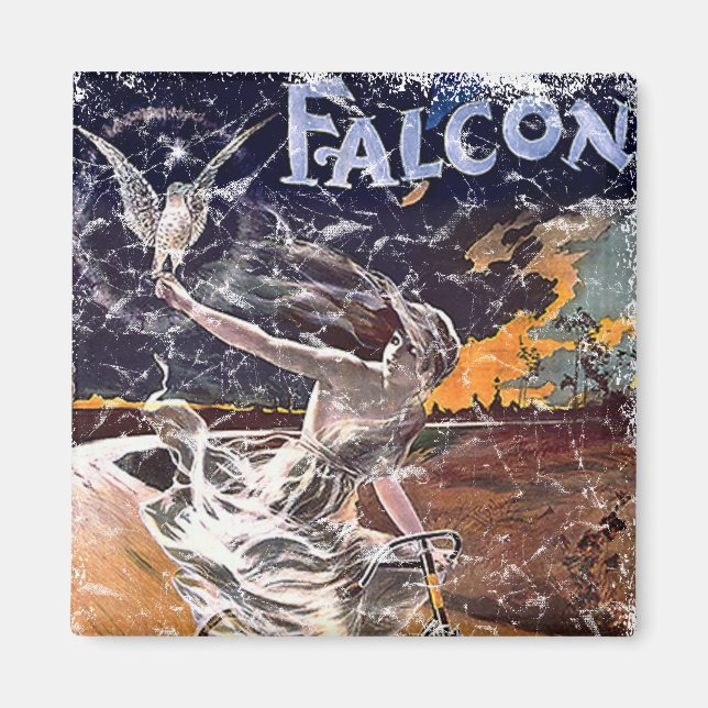 Imã Bicicleta Falcon - angustiada (Frente)