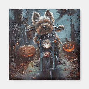 Imã Biewer Terrier Dirigindo Motocicleta Assustador de