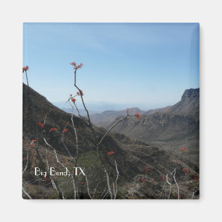 Imã Big Bend National Park, Texas