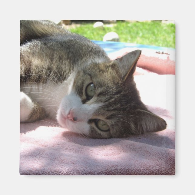 Imã Big Boy On Mesa Magnet (Frente)