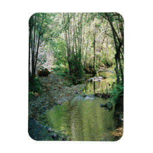 Ímã Big Creek...