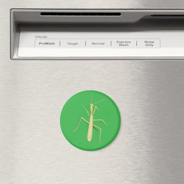 Imã Big Mantis (In Situ (Dishwasher))