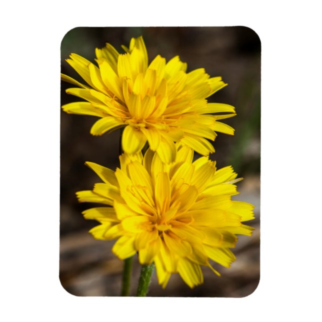 Ímã Big Pine Creek, serra oriental Sierra Nevada (Vertical)