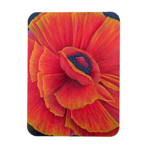 Ímã Big Poppy 2003