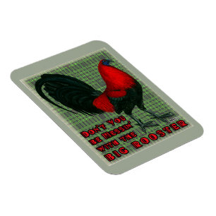 Ímã Big Red Rooster