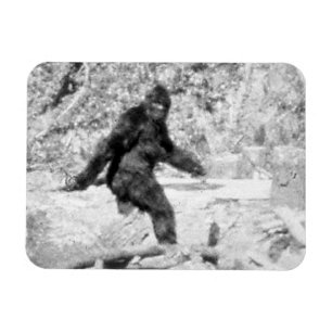 Ímã Bigfoot