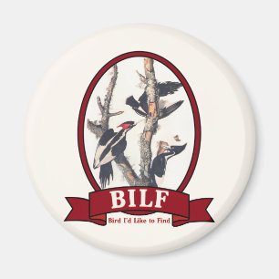 IMÃ BILF