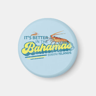 Imã Bimini Islands Bahamas Cruzeiro de Férias do Magne