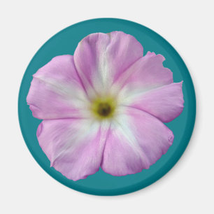 Imã Bindweed nº 1