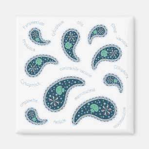 Imã Biologia da Paramecia Paisley Ciência Micro-organi