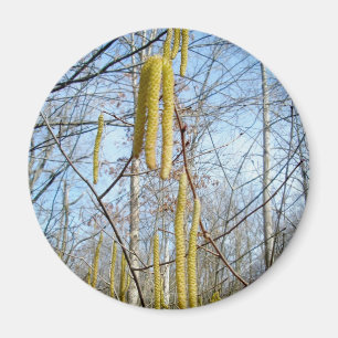 Imã Birch Catkins Magnet