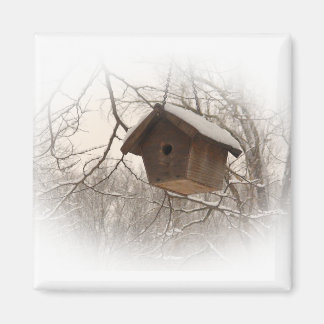 Imã Birdhouse de inverno