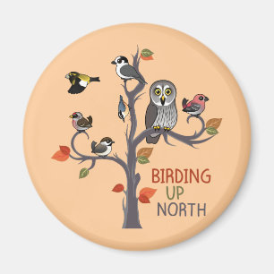 Imã Birding acima do norte