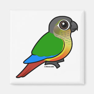 Imã Birdorable Amarelo-tomou partido Conure