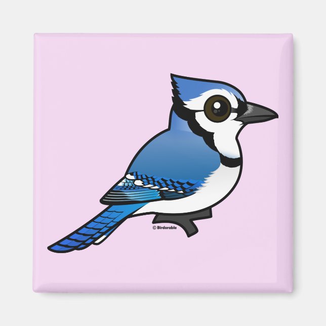Imã Birdorable Blue Jay (Frente)