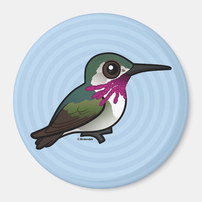 Imã Birdorable Calliope Hummingbird (Frente)
