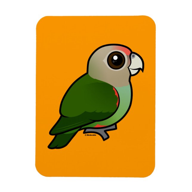 Ímã Birdorable Cape Parrot (Vertical)