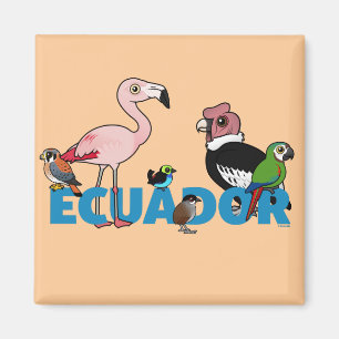 Imã Birdorable Equador