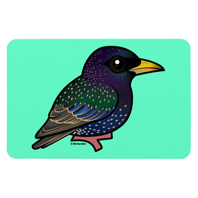 Ímã Birdorable European Starling (Horizontal)