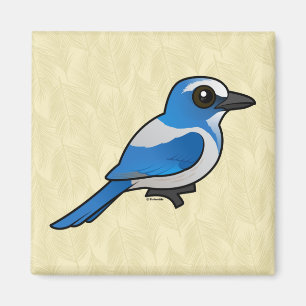 Imã Birdorable Florida Esfregar-Jay
