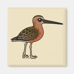 Imã Birdorable Longo-faturou o Dowitcher