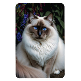 Ímã Birman Cat no Magneto do Jardim
