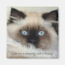 Imã Birman - Ragdoll Cat Lover Magnet