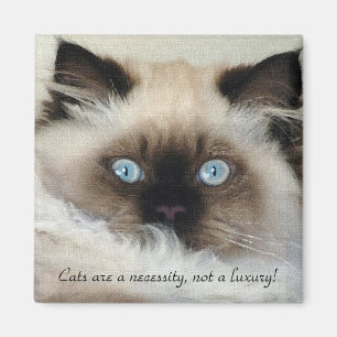 Imã Birman - Ragdoll Cat Lover Magnet
