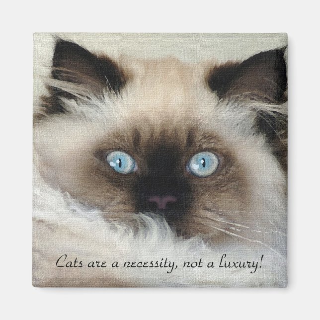 Imã Birman - Ragdoll Cat Lover Magnet (Frente)