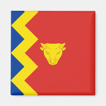 Birmingham City Flag