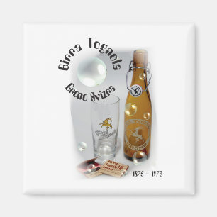 Imã Birra Tognola Grono íman