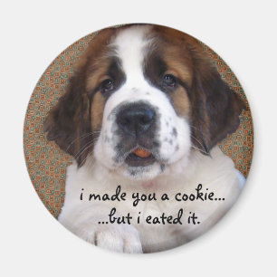 Imã Biscoito do filhote de cachorro de St Bernard