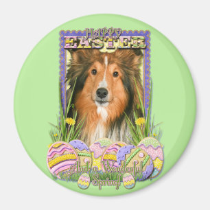 Imã Biscoitos do ovo da páscoa - Sheltie