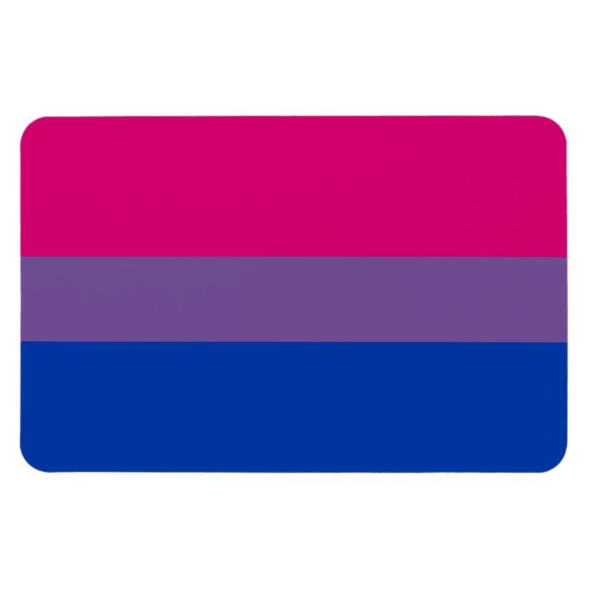 Ímã BISEXUAL FLAG ORIGINAL -.png (Horizontal)