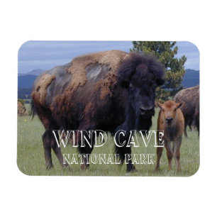 Ímã Bison e Calf, Parque Nacional da Caverna Eólica,